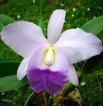 2eaeb8cbf2cb1db765e5609df98165c2