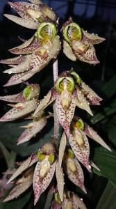 39453707_1366563150112772_929629801315041280_n