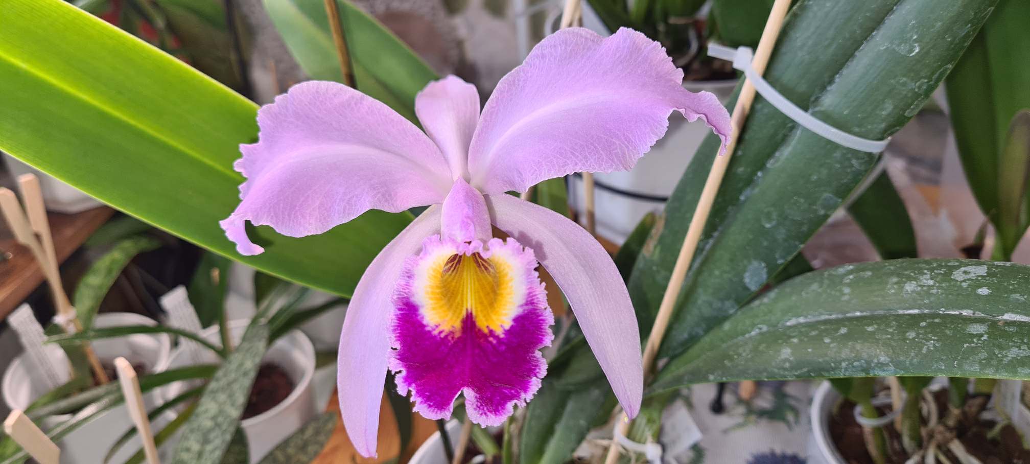 Resized_20210708_111630