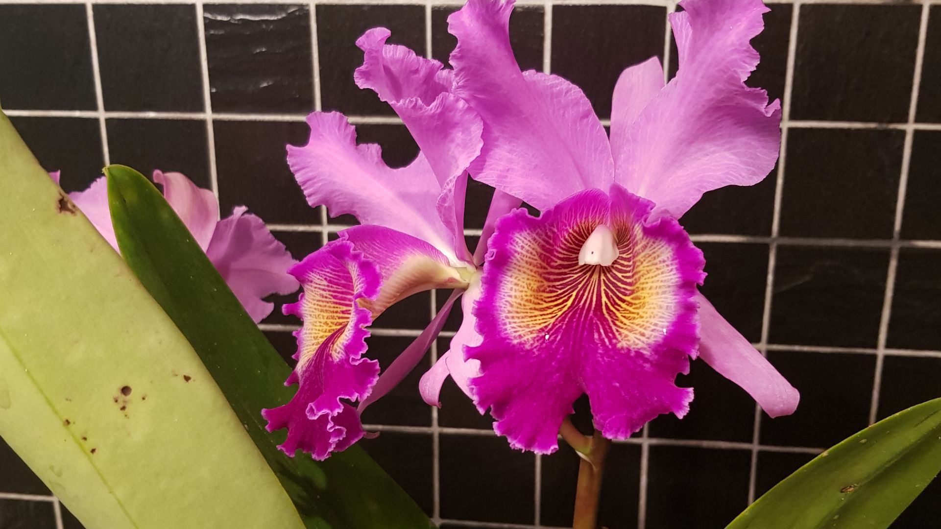 Resized_20201115_112753(1)