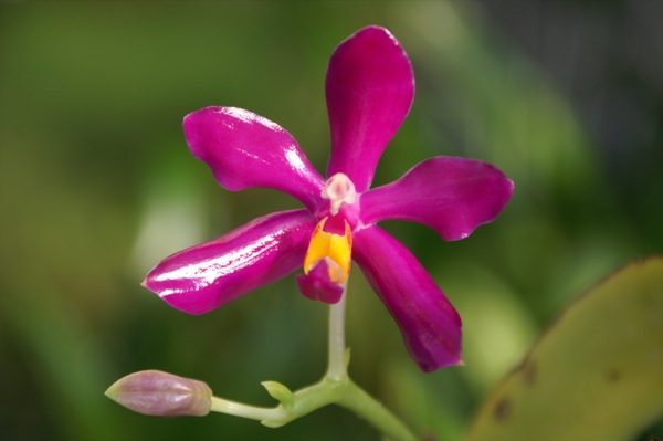 KONICA MINOLTA DIGITAL CAMERA